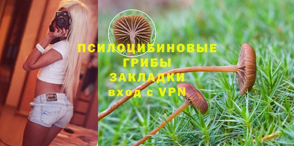 винт Михайловск