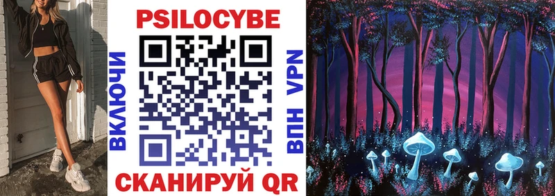 Псилоцибиновые грибы Magic Shrooms  где купить   Катайск 